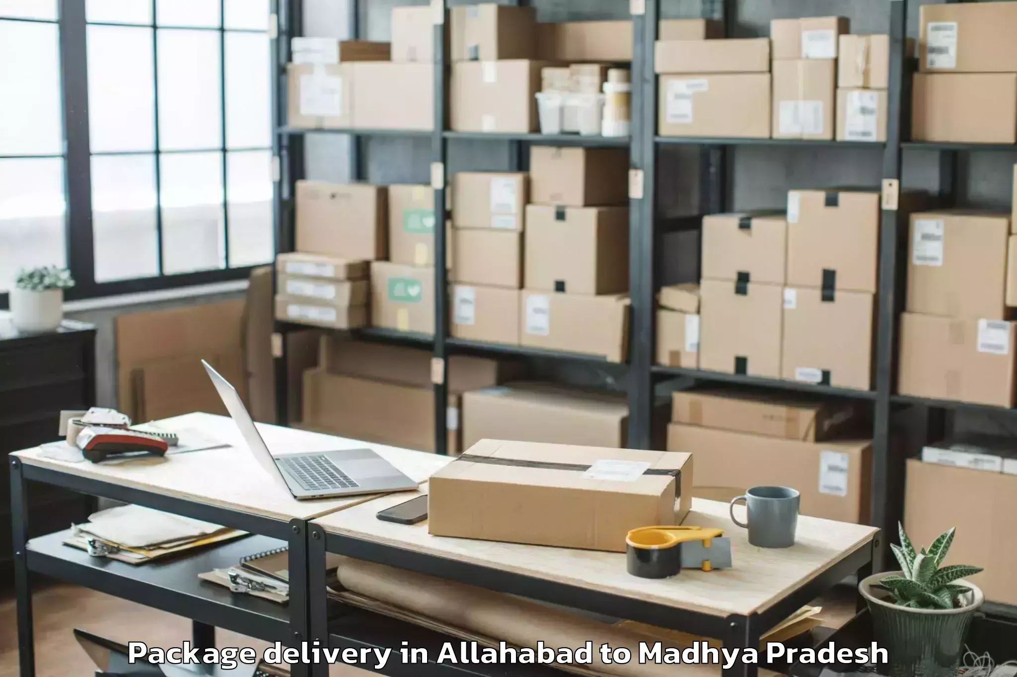 Trusted Allahabad to Satwas Package Delivery